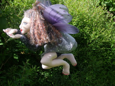 Mariposa 5