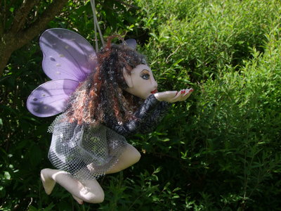 Mariposa 6
